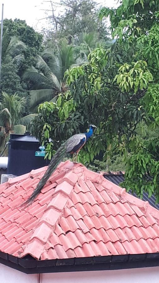 Jal,Min Homestay Kandy Buitenkant foto